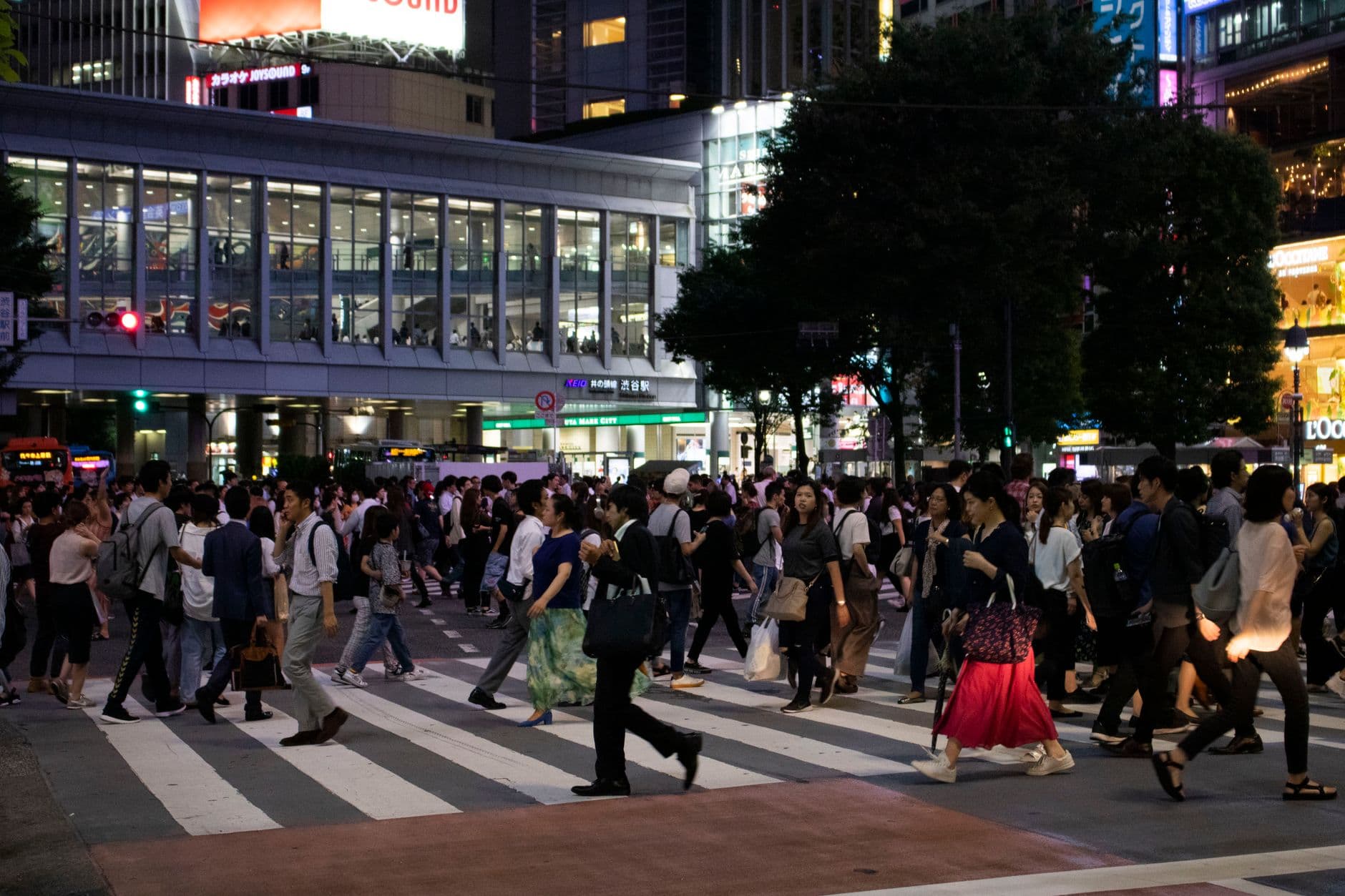 Herd Behavior and Market Bubbles: Why Crowds Misjudge Prices