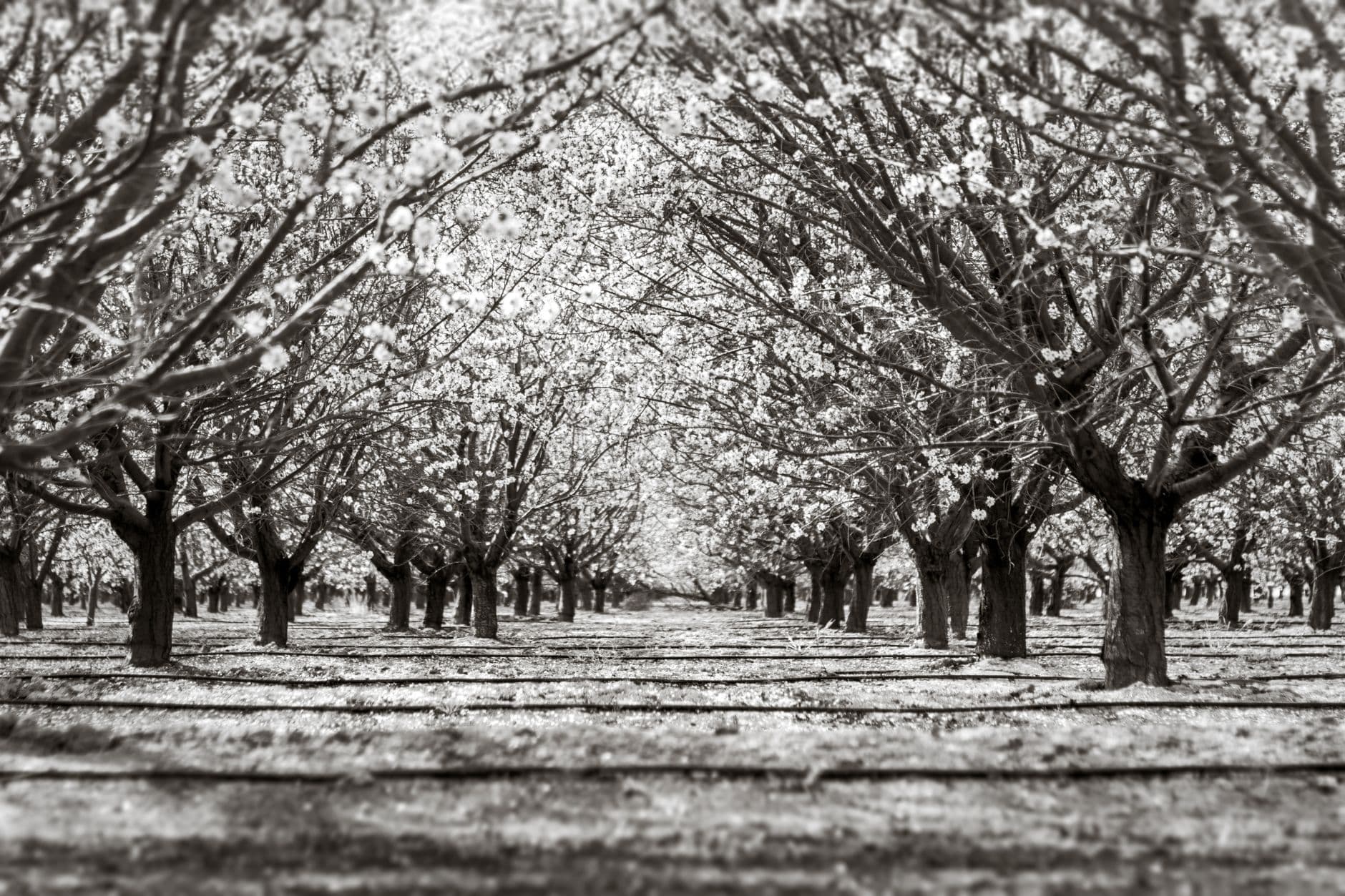 Discounted Cash Flow Explained: The Idea Behind Intrinsic Value